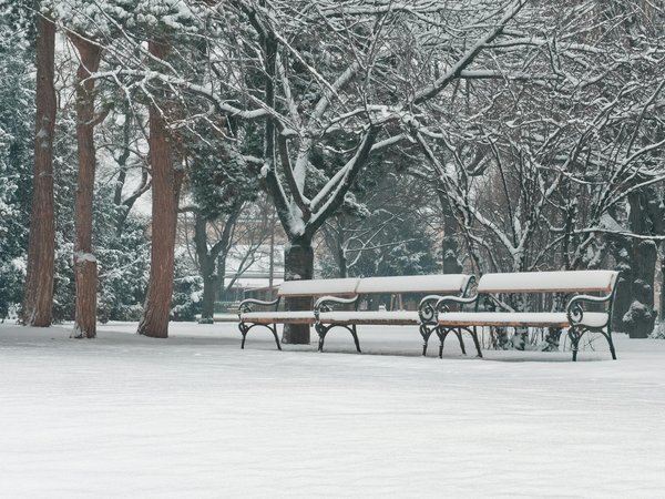 Soin anti-vergetures : prévention bio enceintes