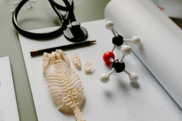 Découverte pratique et immersive: stage herboristerie au jardin